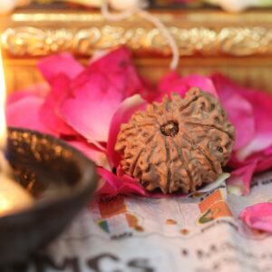 4 mukhi