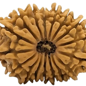 10 mukhi