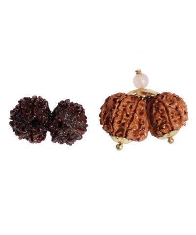 Gaurishankar Rudraksha (Available in 3 categories)