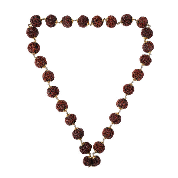 Siddh mala Rudraksha Mala