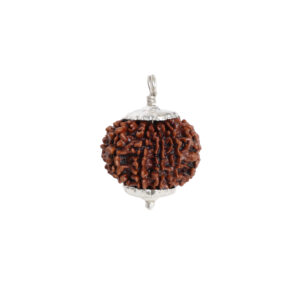 Natural 9 Mukhi/Face Rudraksha (Nepal Origin)