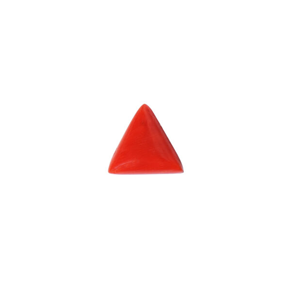 Red Coral (Triangular Cabochon) starting price per carat
