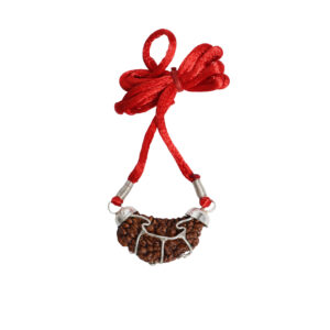 Natural 1 Mukhi Rudraksha (Nepal Origin)